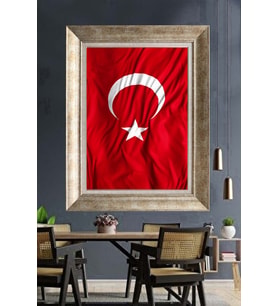 GÜMÜŞ ÇERÇEVELİ PASPARTULU TABLO V514