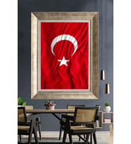 GÜMÜŞ ÇERÇEVELİ PASPARTULU TABLO V514