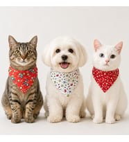 Kedi/Köpek Desenli 3'lü Bandana Seti