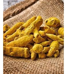 ZERDEÇAL KÖK 1 KG