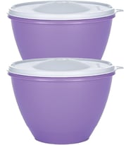 Tupperware Derin Kaplar 2 X 1,9 Lt.