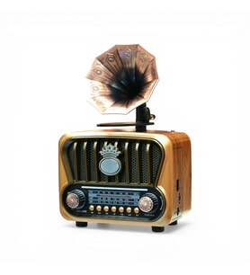 Gramafon Tasarım Nostaljik Radyo,Bluetooth Nostalji Radyo