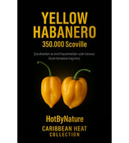 YELLOW HABANERO / 350.000 Scoville - Gerçek Taze Acı Biber