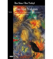 Hay Bin Yakzan