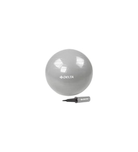 Delta 65 cm Gümüş Renk Pilates Topu + Pompa JRS660