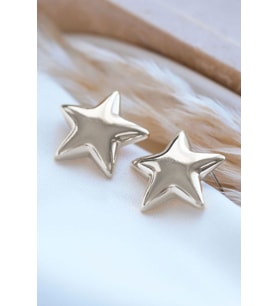 Silver Parlak Yıldız Küpe