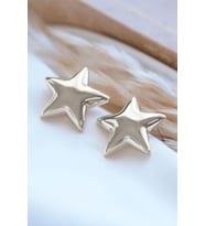Silver Parlak Yıldız Küpe