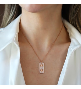 Kutup Yıldızı Rose Gold Asansörlü Gümüş Kolye