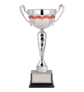 ODAK KUPA - Elit Kupalar - ELT-053 C - 43 cm