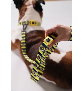 Fenerbahçe Lisanslı Köpek Gezdirme Kayışı, Gezdirme Kayışı, Çubuklu