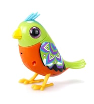 Digibirds Tekli Paket Seri 2 - Model 2