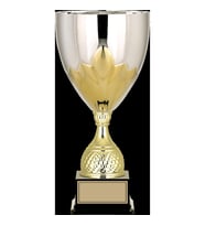 ODAK KUPA - Vip Kupalar - VP-021 A - 54 cm
