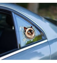 Fulcar Siamesse Araç Stickerı