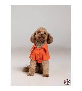 Yazlık Köpek Gömleği Keten Beach Bum 0-15kg (Turuncu)