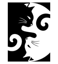 Ying Yang Kedileri - Siyah Beyaz Tablo Ahşap Poster Dekoratif