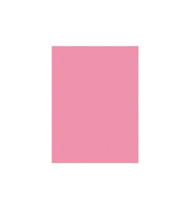 Sinar Spectra 50 x 70 120 gr Pembe Fon Kartonu 100 Lü (1 Paket 100 Adet)