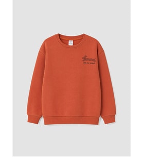 LCW Kids Kahverengi Nakışlı Erkek Çocuk Kalın Sweatshirt