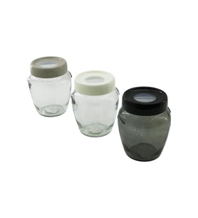 580 ml Şeffaf Cam Saklama Kavanozu Renkli Kapaklı
