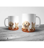 Pixxa Golden Retriever - Köpek Kedi Kupa Bardak Model 2