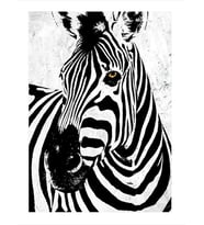 Siyah Beyaz Zebra Hediyelik Mdf Tablo