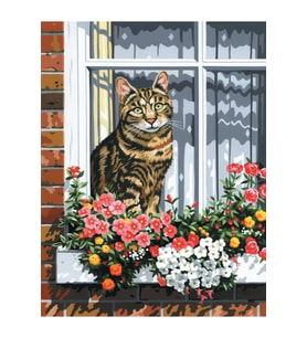 Camdaki Kedi Çerçeveli 50x65 Sayılarla Boyama Hobi Seti