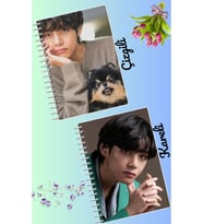 V bts defter seti 2 adet A4 boyutu 21*30 çizgili + kareli 60 syf