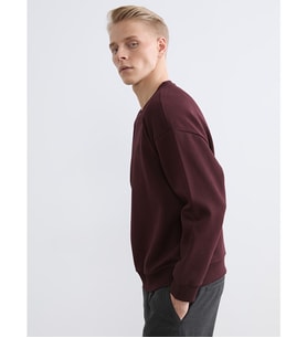 LCW Vision Bordo Bisiklet Yaka Erkek Kalın Sweatshirt