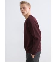 LCW Vision Bordo Bisiklet Yaka Erkek Kalın Sweatshirt