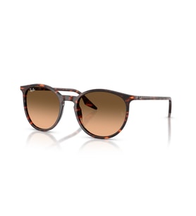 RB 2204 14293B 51 Ray-Ban Güneş Gözlüğü