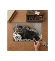 Koltukta Uyuyan Sevimli Kedi Tasarımı 240 parça Ahşap Puzzle Ahşap Kutuda MP09255