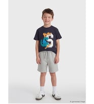 LCW Kids Gri Beli Bağlamalı Erkek Çocuk Şort