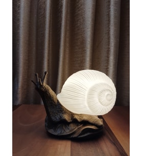 Salyangoz Masa & Gece Lambası