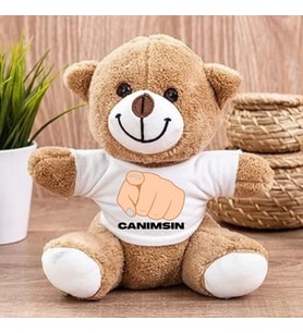 Sevgiliye ve Arkadaşa Hediye "Canımsın" Tasarımlı Peluş Oyuncak Ayı