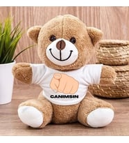 Sevgiliye ve Arkadaşa Hediye "Canımsın" Tasarımlı Peluş Oyuncak Ayı