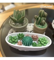 Dekoratif Oval Tabakta Sukulent Kaktüs Soya Mum