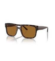 Emporio Armani EA4197-5879-83 Erkek Güneş Gözlüğü