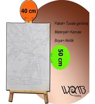 Avusturyadan Esintiler Sayılarla Boyama Seti 40x 50 cm (Tuvale Gerili)