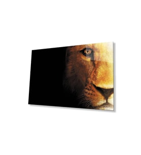 Aslan Cam Tablo 4mm Dayanıklı Temperli Cam (Çok Renkli)