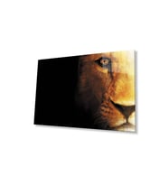Aslan Cam Tablo 4mm Dayanıklı Temperli Cam (Çok Renkli)