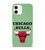 Apple iPhone 12 Mini  Lansman Kılıf Chicago Bulls Tasarımlı Altı Kapalı İçi Kadife Kaplı  Kapak (Şeffaf)
