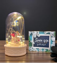Led Işıklı Tasarım Fanus ve Senin İçin İyi Ki Varsın Kartı Hediye Seti (Model 1)