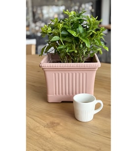 Ova Balkon Saksı No:1 – 27x16 cm, 3.5 Litre Dikdörtgen Saksı