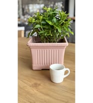 Ova Balkon Saksı No:1 – 27x16 cm, 3.5 Litre Dikdörtgen Saksı