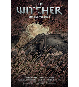 The Witcher Omnibus Volume 2