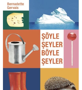 Şöyle Şeyler Böyle Şeyler