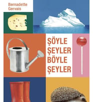 Şöyle Şeyler Böyle Şeyler