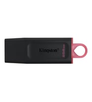 KINGSTN 256GB DataTraveler E xodia DTX/256GB USB 3.2 BELLEK