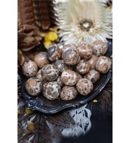 Sertifikalı Riyolit Taşı Kütle (leopardite) (Çok Renkli)