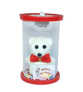 Cam Fanus Happy Birthday Işıklı Ayıcık Kırmızı