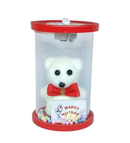 Cam Fanus Happy Birthday Işıklı Ayıcık Kırmızı